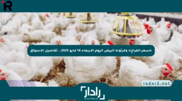 «سعر الفراخ» وكرتونة البيض اليوم الأربعاء 14 مايو 2025.. تفاصيل الأسواق